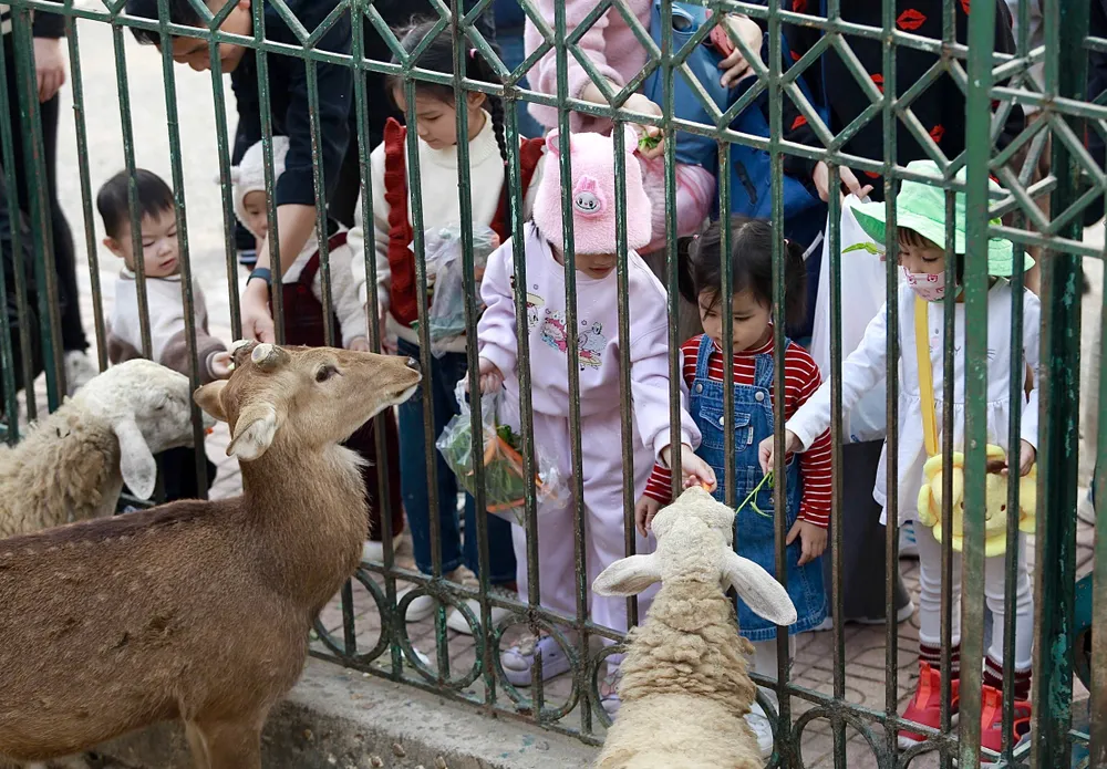 vuon-thu-ha-noi (10).jpg