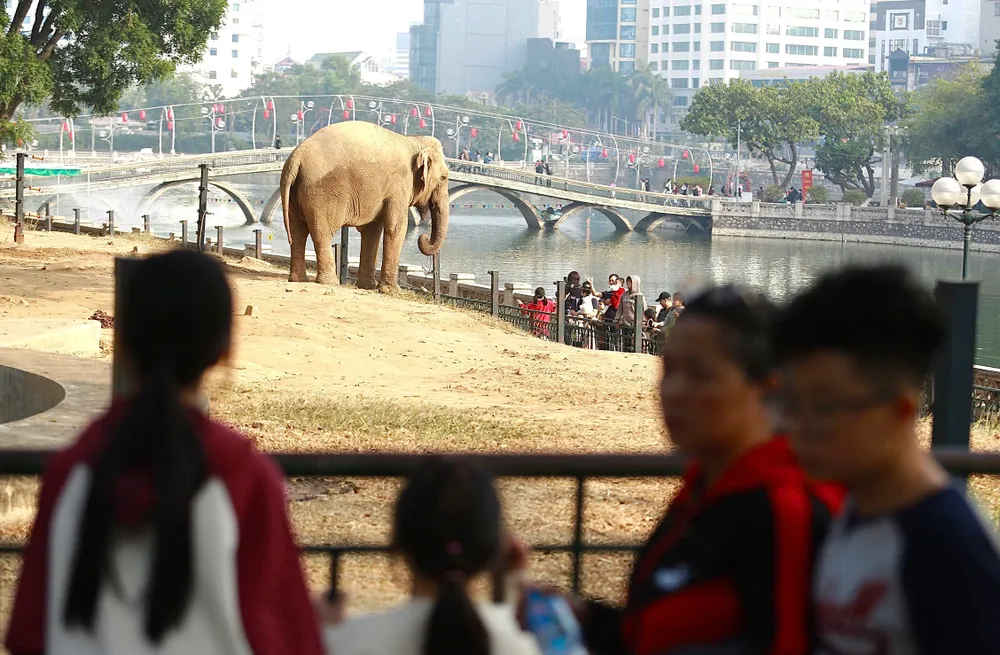 vuon-thu-ha-noi (9).jpg