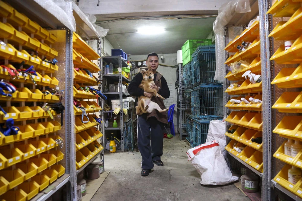 trong-thu-cung (13).jpg