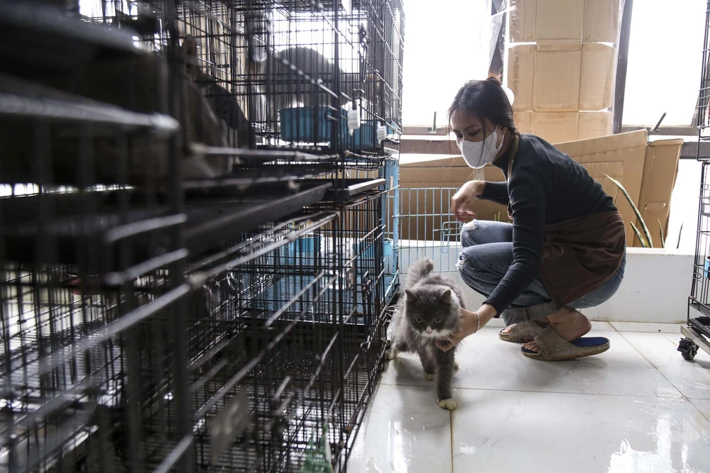 trong-thu-cung (5).jpg