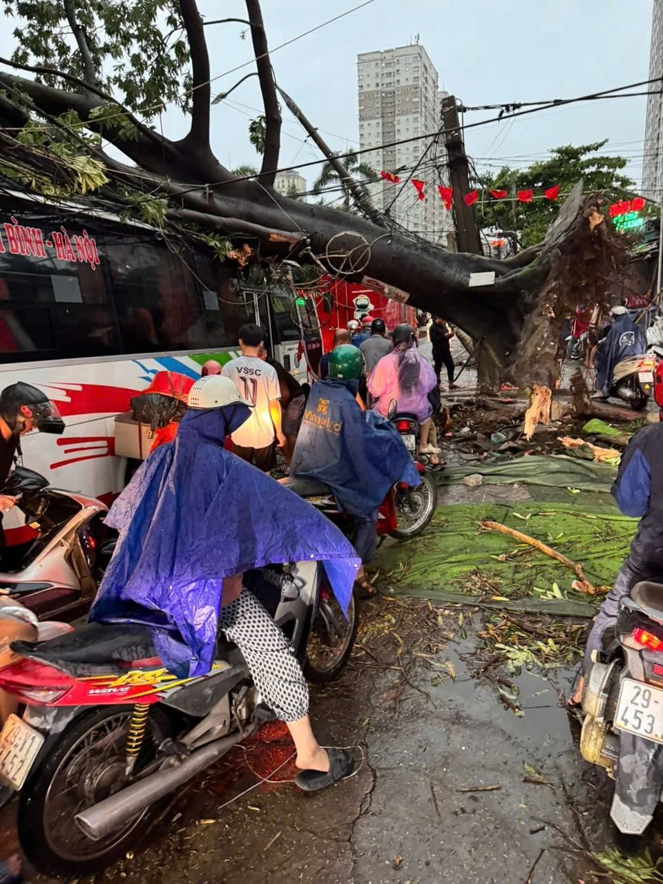 con-mua-giong (6).jpg