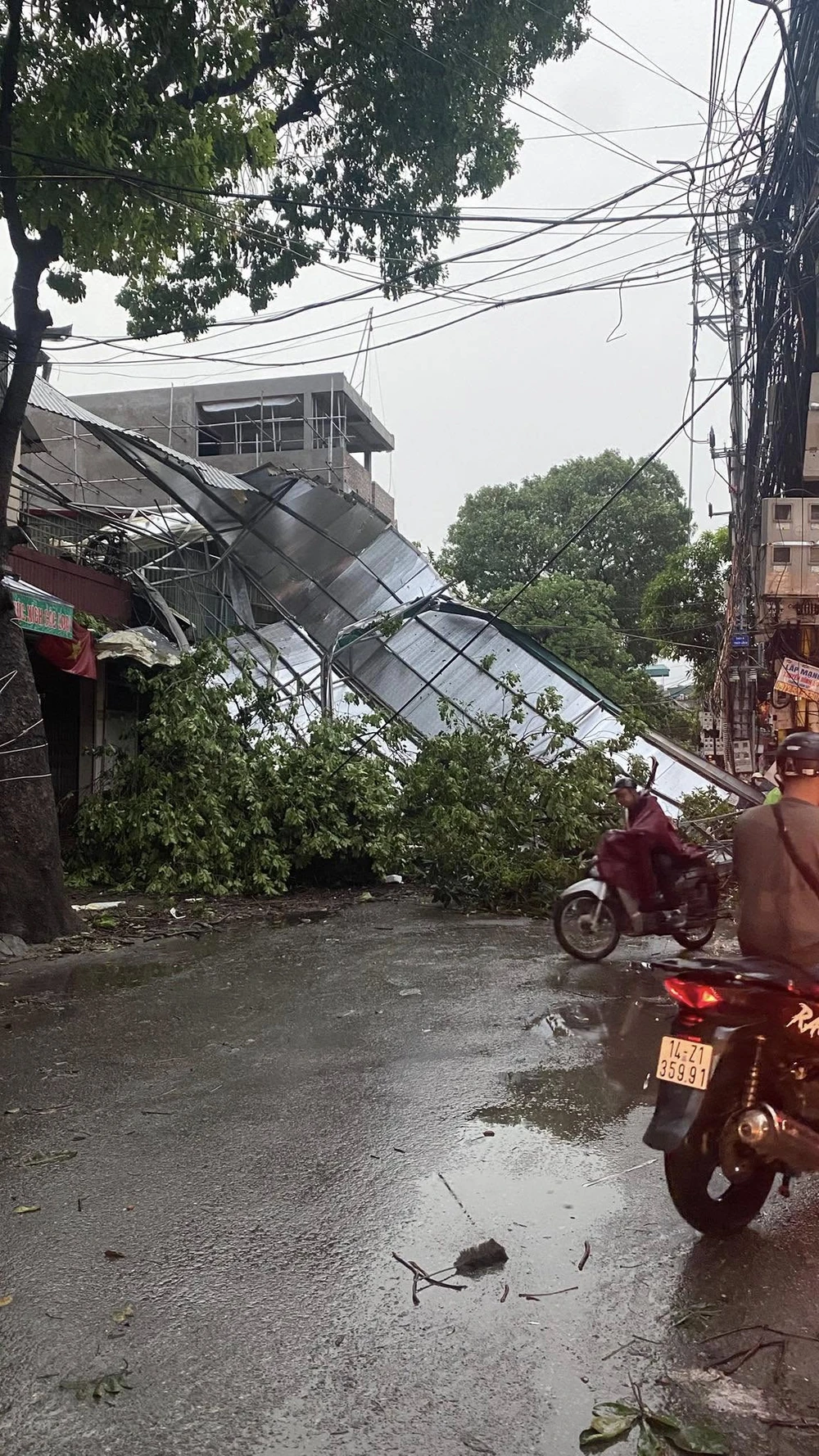 con-mua-giong (7).jpg