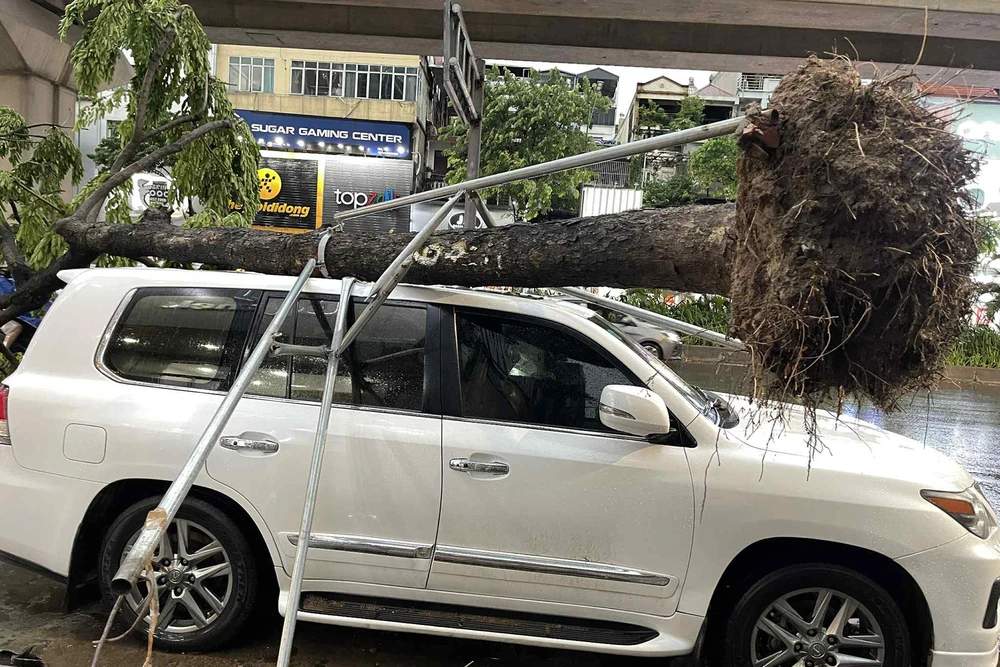 con-mua-giong (8).jpg