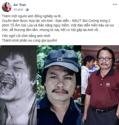 Sao Việt thương tiếc khi biết tin nghệ sĩ Bùi Cường qua đời ảnh 6