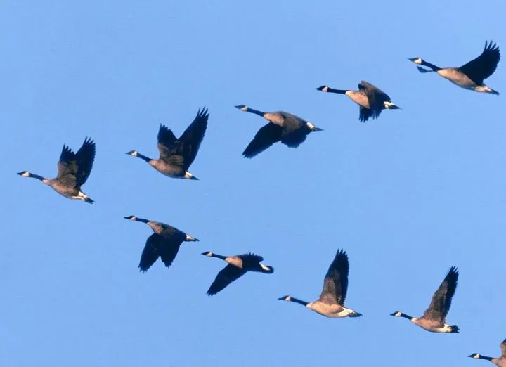 HÃ¬nh áº£nh cÃ³ liÃªn quan