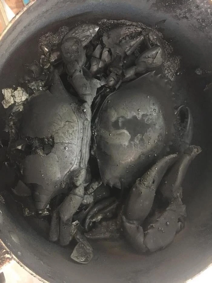 Những món ăn 'bá đạo' của các nội trợ thời nay ảnh 9