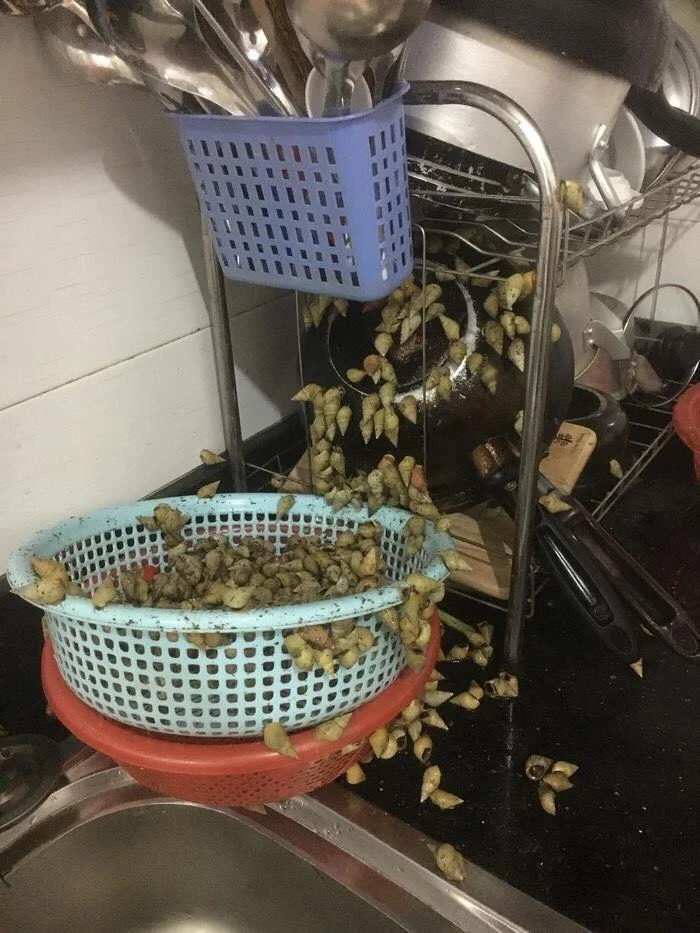 Những món ăn 'bá đạo' của các nội trợ thời nay ảnh 6