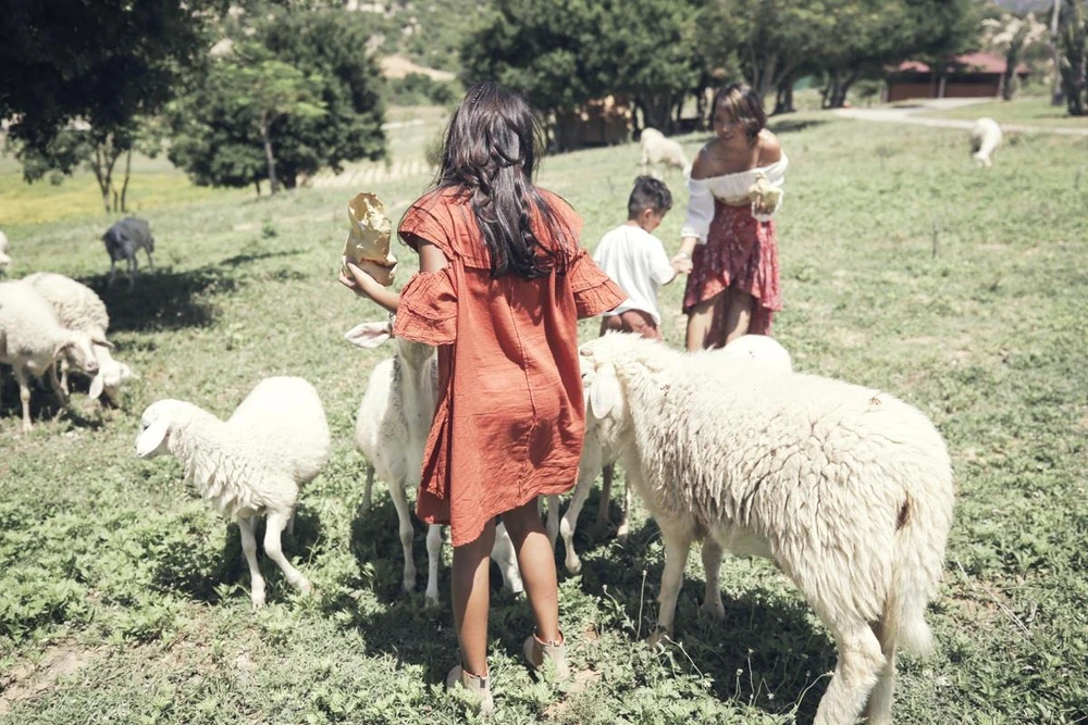 Ba mẹ con ca sĩ Thái Thùy Linh cùng làm MV ở biển Quảng Nam ảnh 4