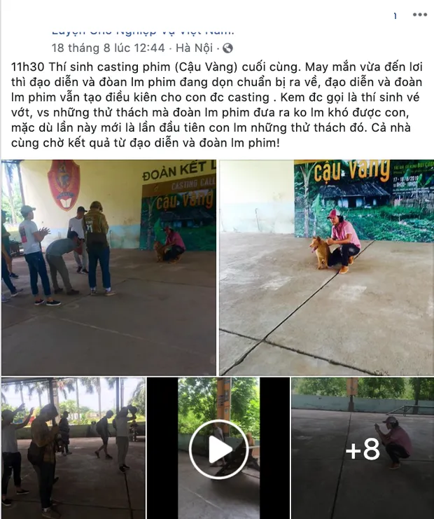 Chú chó Nhật Shiba đóng cậu Vàng trong Lão Hạc gây tranh cãi ảnh 3