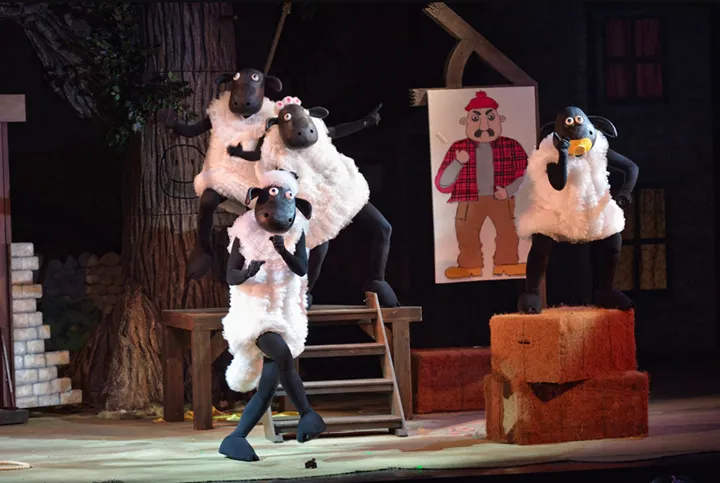 Bảng thành tích của chú cừu nổi tiếng nhất thế giới ảnh 5