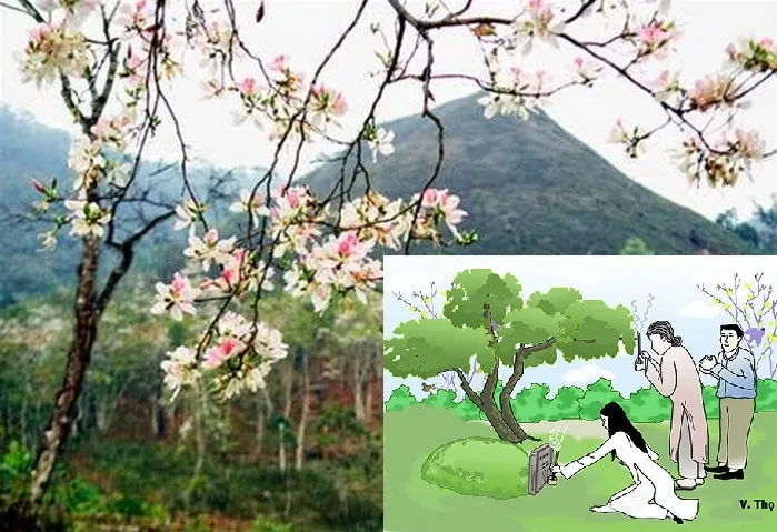 Cần làm gì vào tết Thanh minh mùa COVID-19? ảnh 4