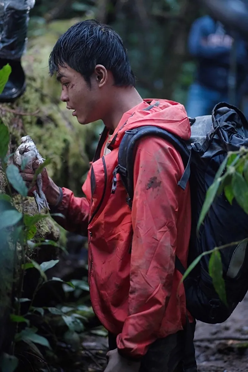 Xem phim gì năm mới 2021? ảnh 13