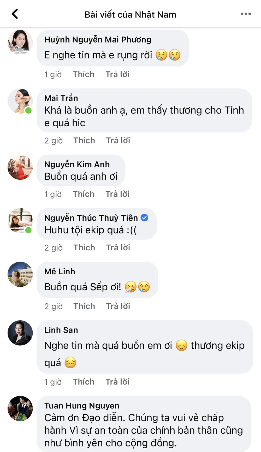 Đại nhạc hội Tuần Châu bị hủy show vì dịch COVID-19 ảnh 7