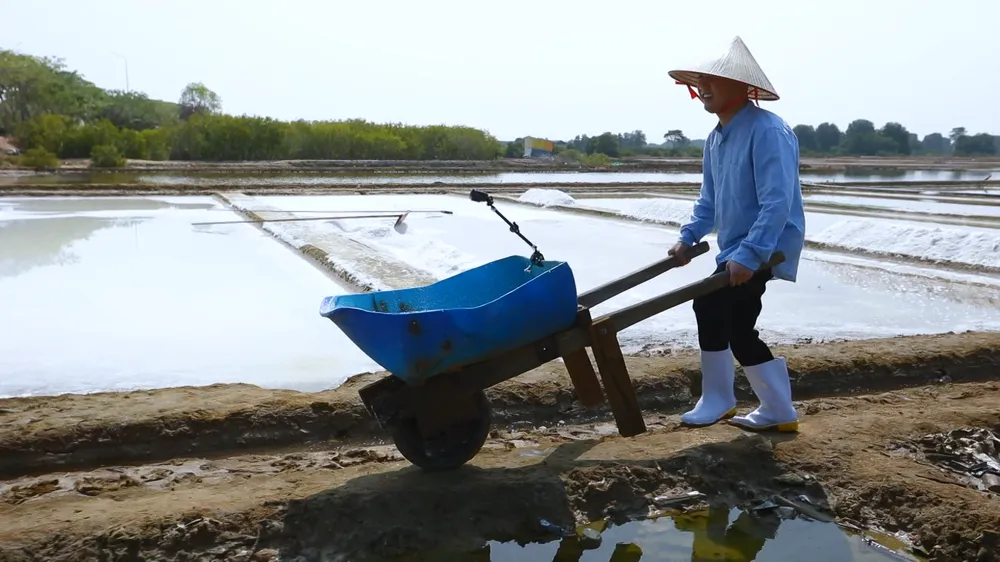 Don Nguyễn khéo léo đẩy muối qua các bờ ruộng. Don Nguyễn khéo léo đẩy muối qua các bờ ruộng.