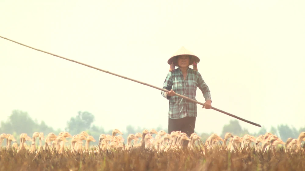 Chị Lê Thị Chung.