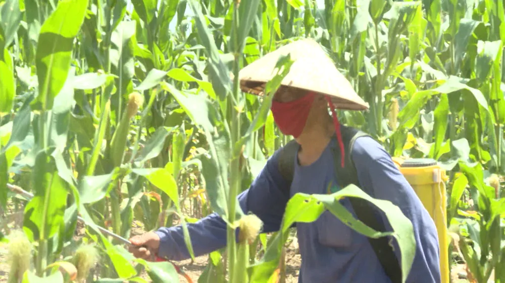 Gia đình ông Chí.