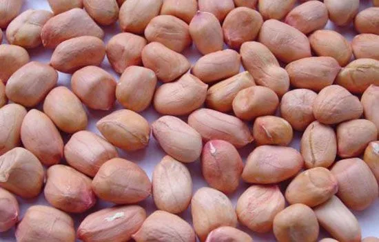 an-dau-phong (2).jpg