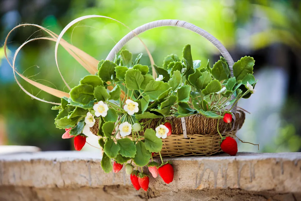 Trung bình một sản phẩm chị Trang mất từ vài giờ đến một tuần để hoàn thành.