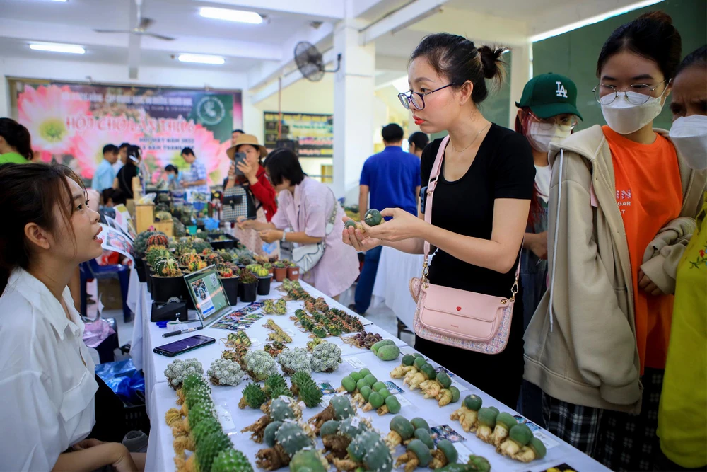 Một số hình ảnh người dân tham quan và mua bán tại hội chợ. Khách tham quan trực tiếp được tư vấn, chia sẽ kỹ lưỡng về cách chăm cây.
