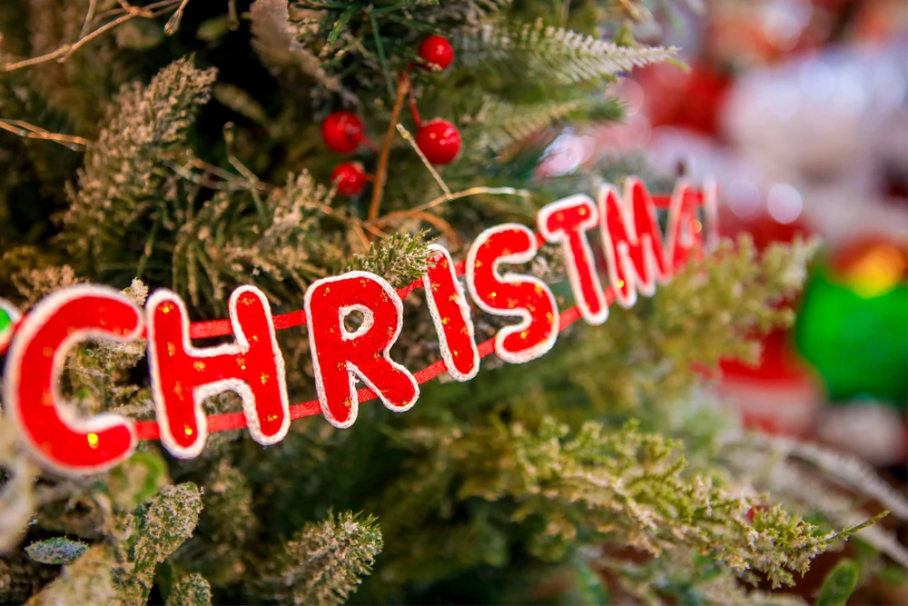 Thông điệp Giáng sinh trang trí trên các cây thông.