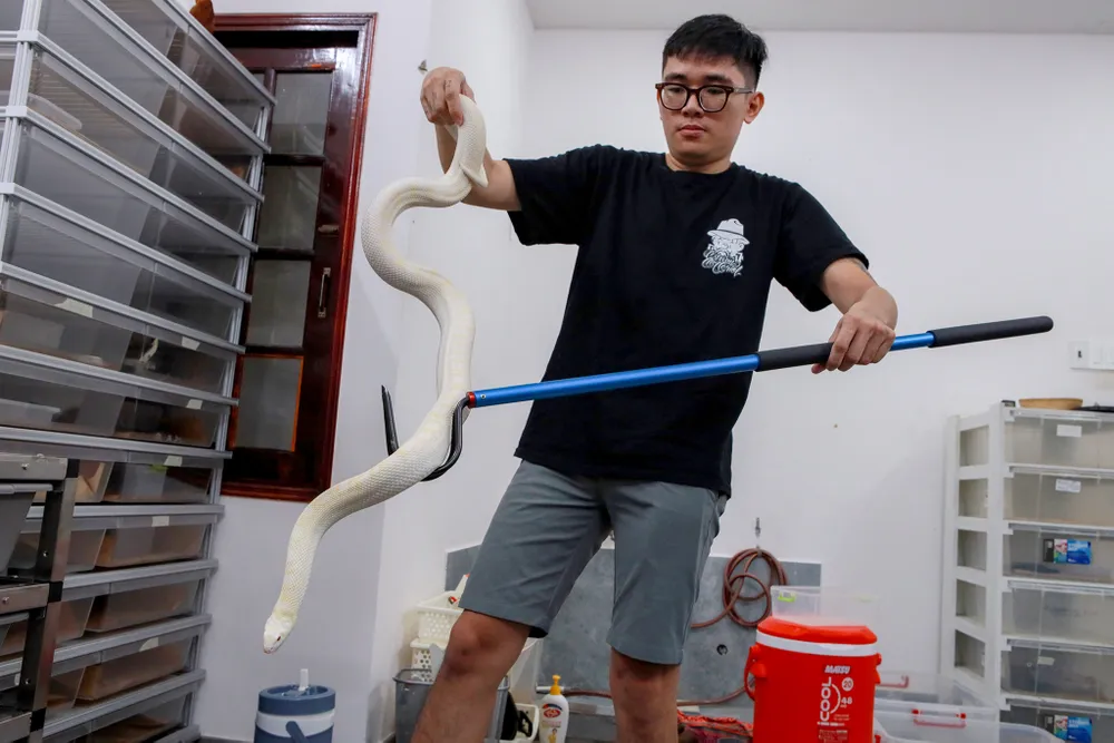 Anh Hiếu và chú rắn bò yêu thích của mình. Hieu_kenh bo sat (6).jpg