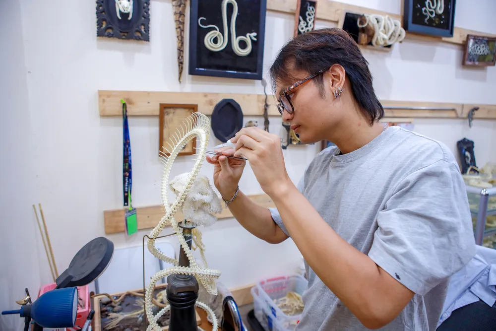 Gen z làm tiêu bản động vật