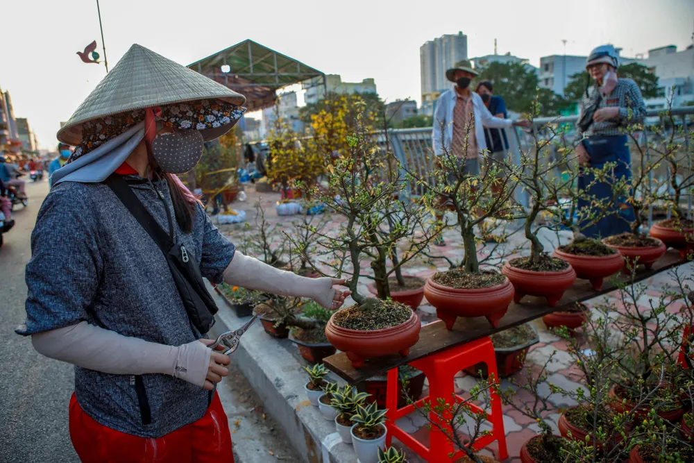 Thuyền hoa cập Bến Bình Đông, nhà vườn ngập tràn hy vọng