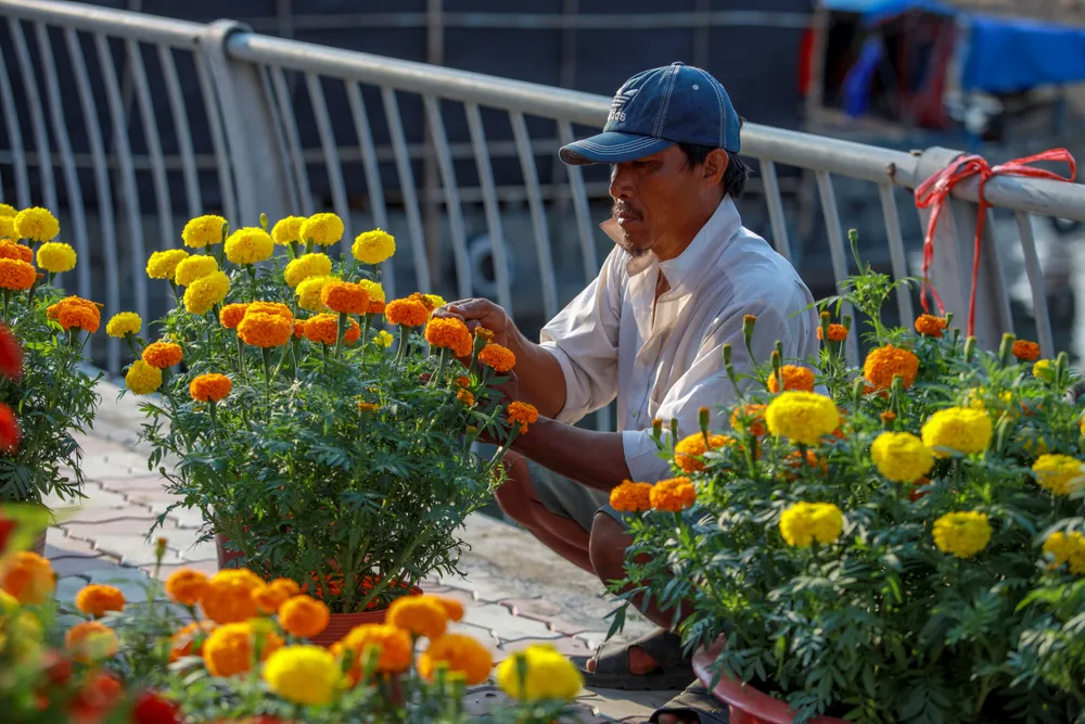 Thuyền hoa cập Bến Bình Đông, nhà vườn ngập tràn hy vọng
