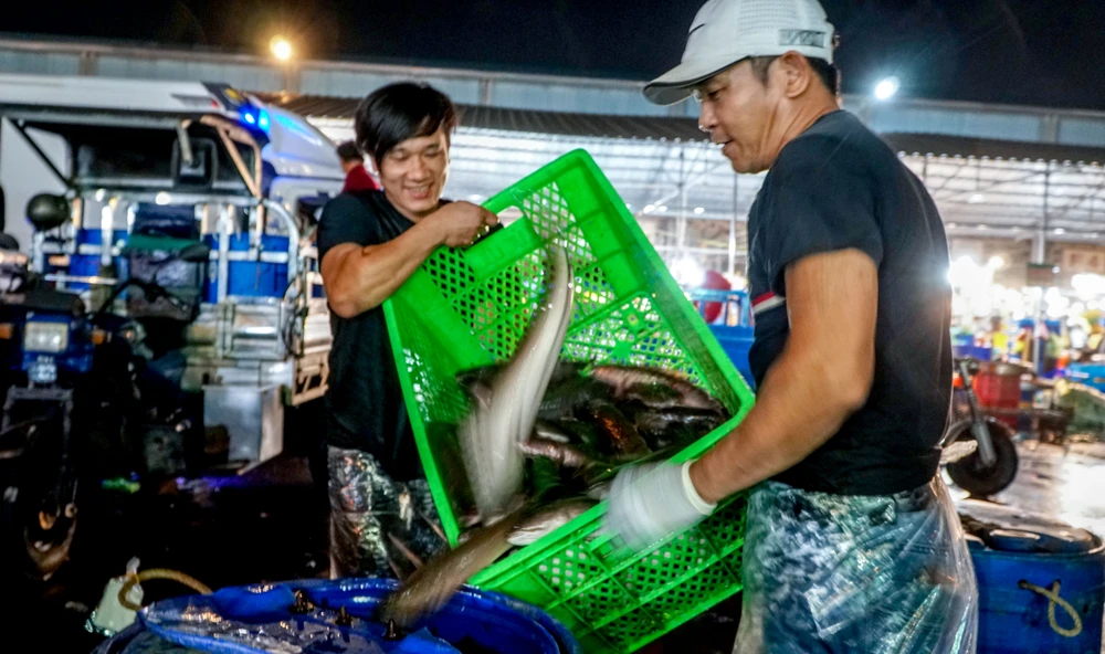 Hơn 300 tấn cá lóc đổ xuyên đêm về chợ đầu mối lớn nhất TP.HCM ngày vía Thần Tài