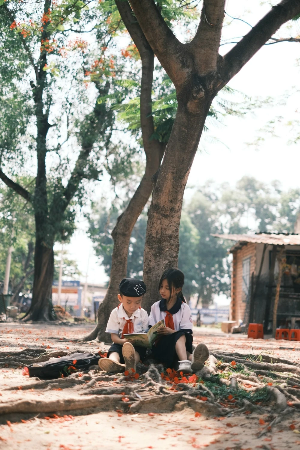 Ông bố trẻ tặng con bộ ảnh mùa hè, xem qua ai cũng muốn một vé đi tuổi thơ