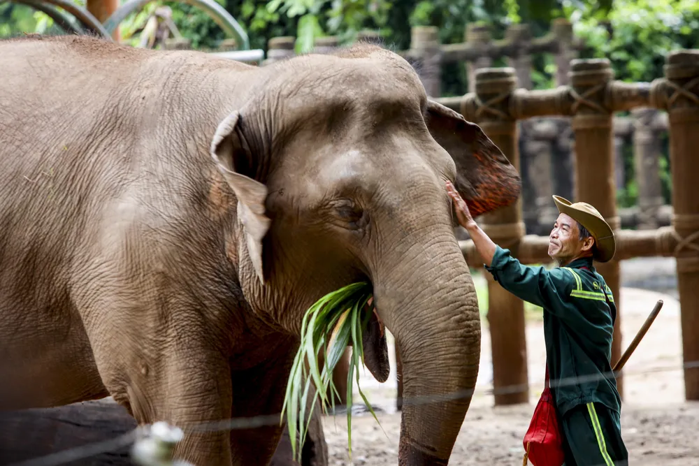 Thảo Cầm Viên Sài Gòn đông nghịt người, hơn 22.000 lượt khách vui chơi 2-9