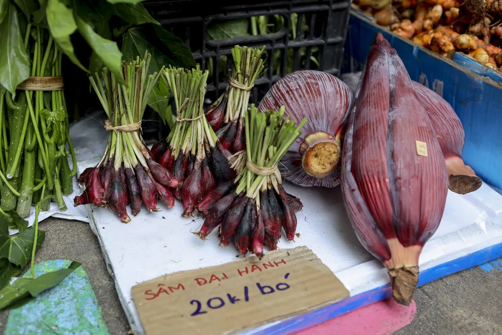 Người Sài Gòn lỉnh kỉnh túi đi 'phiên chợ mùa thu'