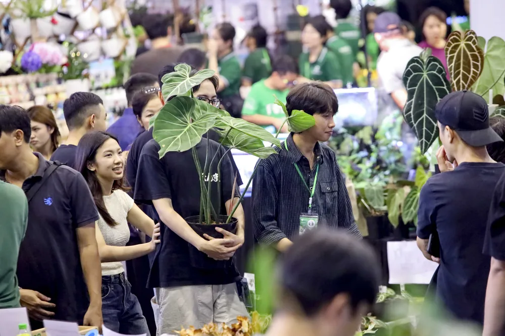 Một khách hàng mua được chậu cây kiểng yêu thích. Nguoi-me-la (7).jpg