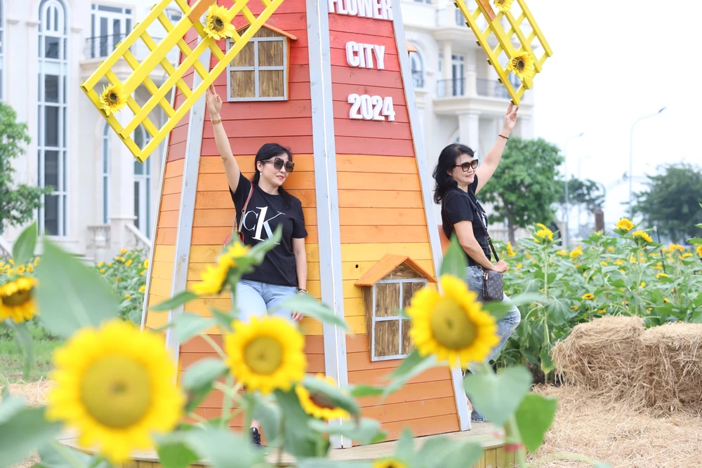 Vuon-hoa-huong-duong (1).JPG