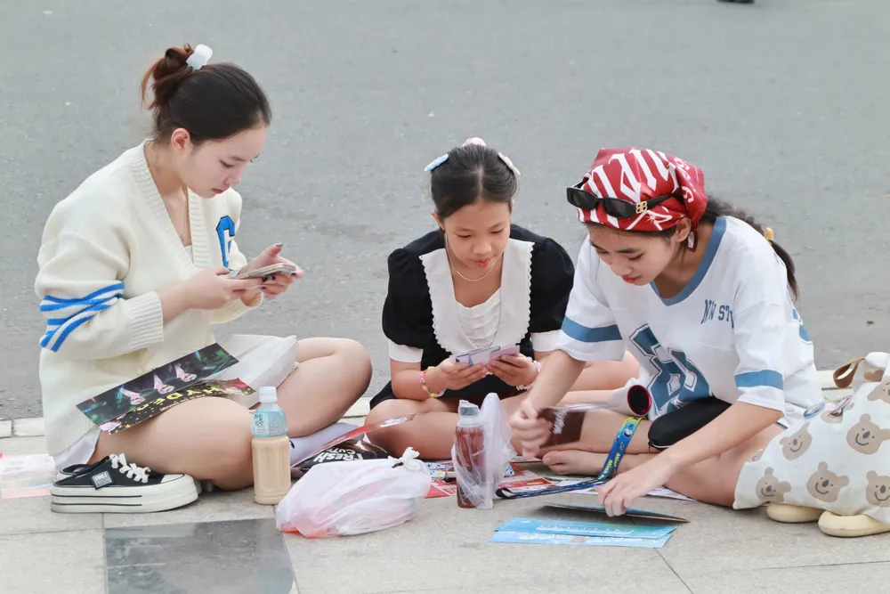 phao-hoa-nam-moi (13).jpg