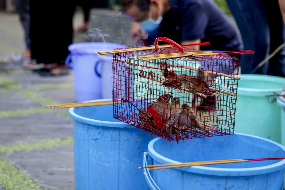 Đông nghẹt người viếng chùa, phóng sinh Rằm tháng Giêng