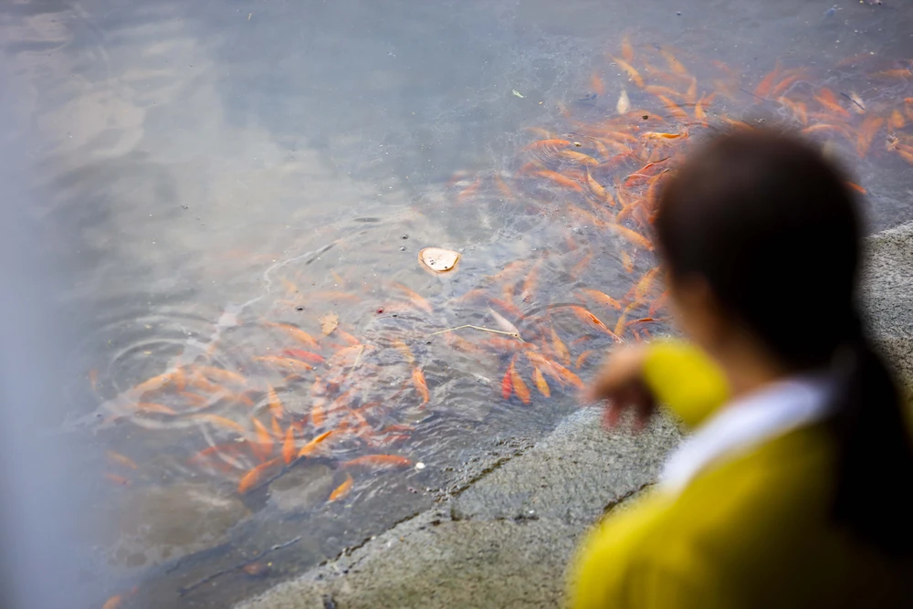 phong-sinh-ram-thang-gieng (33).jpg