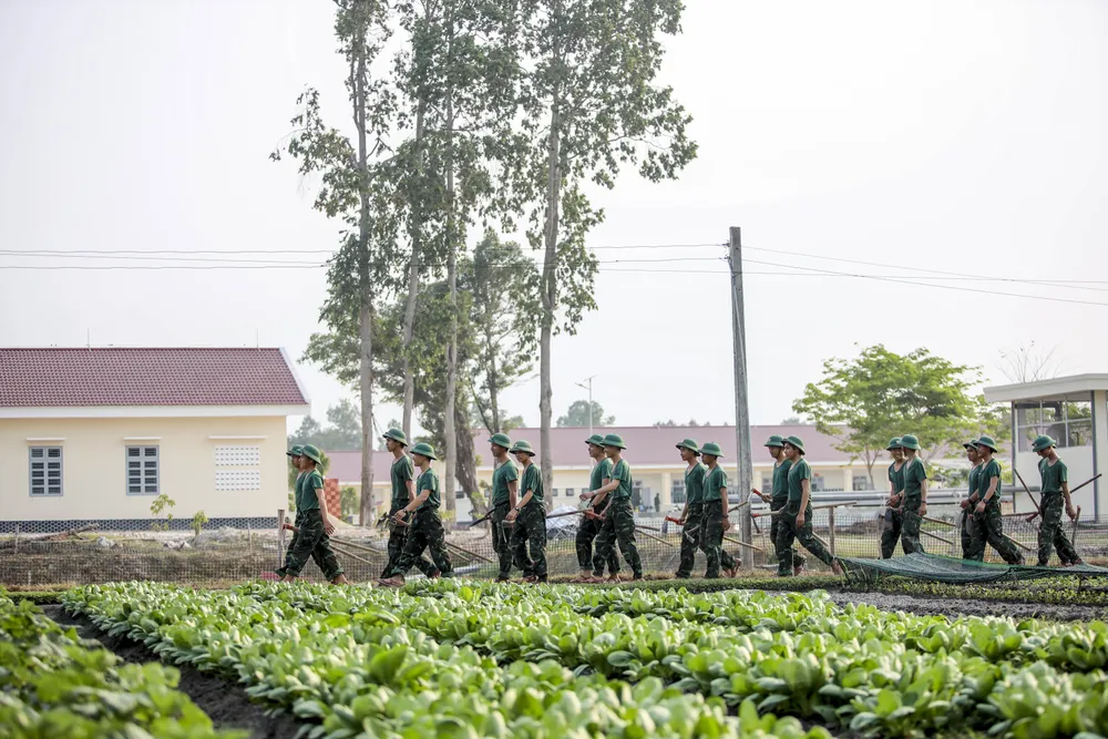 Chiến sĩ trung đoàn 4, Sư đoàn 5 ra khu vực tăng gia sản xuất. tăng gia sản xuất