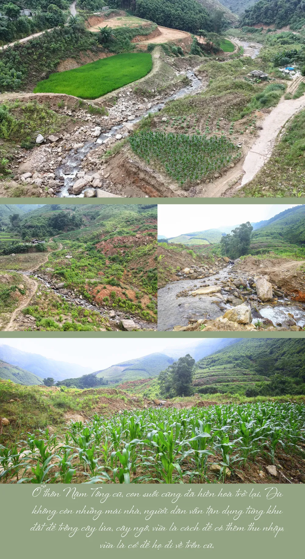 Cơn bão Yagi (33).png