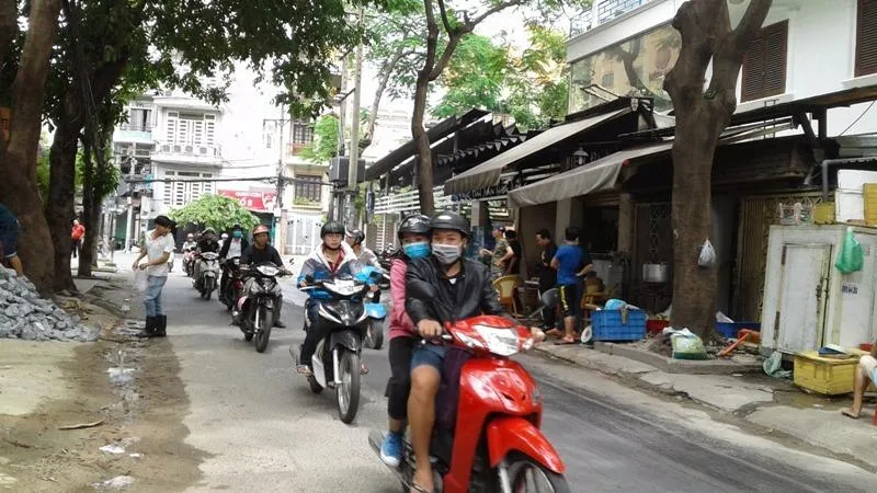 Cây phượng trong con hẻm phường 2 Quận Tân Bình là nơi ong làm tổ.