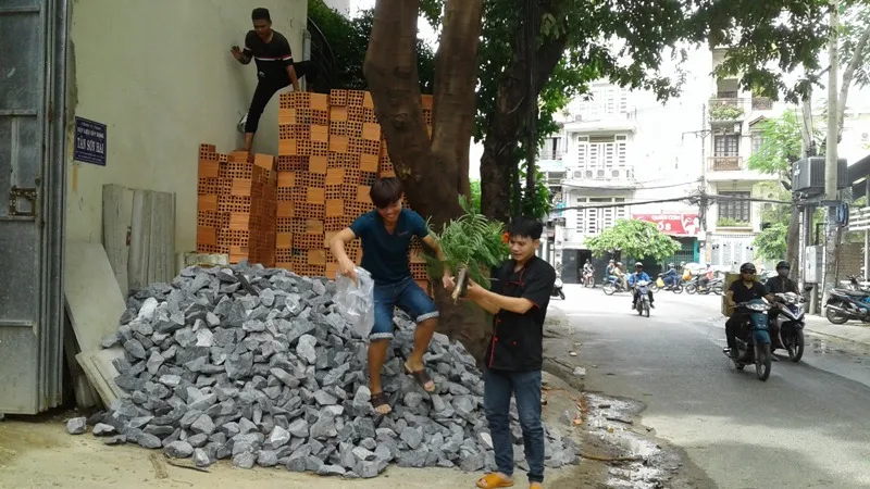 Tổ ong được chuyển xuống.