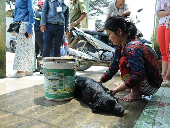Vụ rò rỉ khí amoniac ở Bình Chánh: Dân chưa dám về nhà ảnh 2 Vụ rò rỉ khí amoniac ở Bình Chánh: Dân chưa dám về nhà ảnh 2