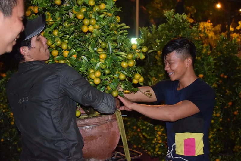 3 mẹo nhỏ để có cây kiểng đẹp, chơi lâu ngày Tết ảnh 4