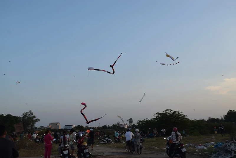 Mê mẩn cánh đồng diều Hóc Môn