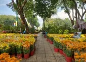 Phát khẩu trang và nước rửa tay miễn phí cho người đi xe buýt ảnh 13 TPHCM vận động người dân mua hoa ủng hộ tiểu thương đón tết
