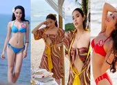 Hoa hậu Kỳ Duyên sau 8 năm đăng quang Hoa hậu Việt Nam 2014 giờ ra sao? ảnh 5 Hoa hậu Kỳ Duyên sau giảm cân xinh đẹp gợi cảm