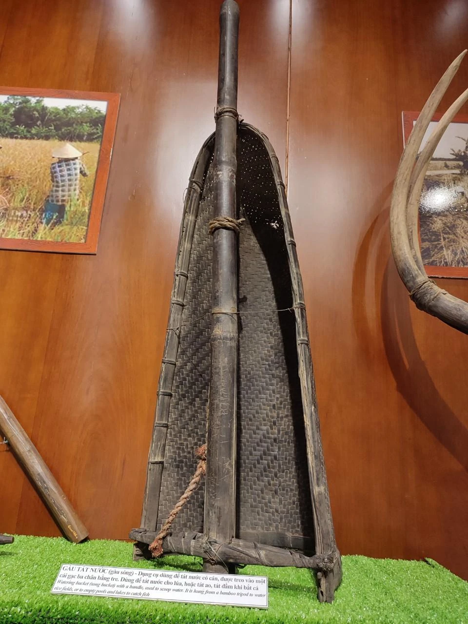 Gàu tát nước. Ảnh: NGUYỄN TRÀ