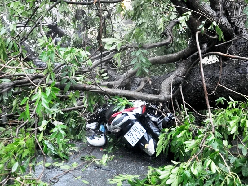 Nạn nhân sau đó đã được người dân đưa đi cấp cứu; chiếc xe máy bị đè hư hỏng. 