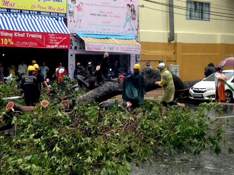 Lực lượng chức năng nhanh chóng có mặt, giải phóng hiện trường. 