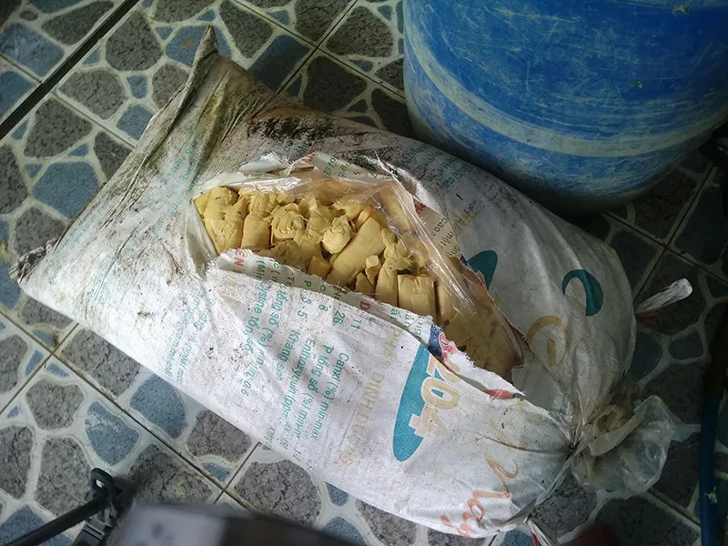 Phát hiện 12 tấn măng ngâm... thuốc nhuộm ở Hóc Môn ảnh 1 Nhiều tấn măng đã bị niêm phong tại hai cơ sở ở huyện Hóc Môn để phục vụ điều tra.